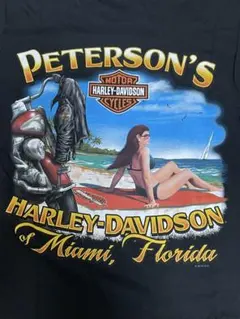 US古着ハーレーディーラーフロリダPeterson's Tシャツ（US）Sサイズ