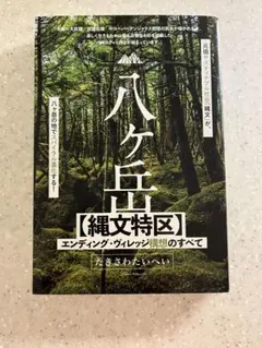 Item thumbnail for item cd8acda5-f3c4-43a3-8f72-54f861173401