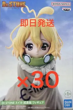 新品未開封】Dr.STONE スイカ（成長後）フィギュア 30体セット - メルカリ