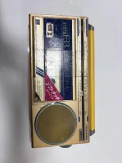 Item thumbnail for item 39b8a1c2-b181-41e7-9201-a49dd24d90f9