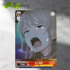 2025年最新】ヴァイス ガールズバンドクライ デッキの人気アイテム