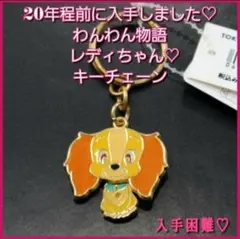 ⟡当時物⟡新品タグ付　TOKYO Disney RESORT　レディキーチェーン