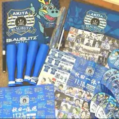 2026年最新】ブラウブリッツ秋田の人気アイテム - メルカリ