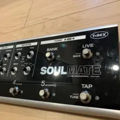 T-REX SOULMATE [訳あり] 2025年最新】t-rex soulmateの人気アイテム - メルカリ