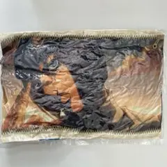 ジョジョワールドQ ブチャラティ クッション