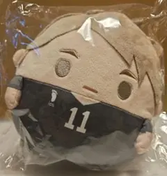 ハイキュー!!　くじメイト　ぬいくじ　Ｃ賞　ふわコロりん　宮治