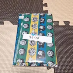 Item thumbnail for item 8e50de49-2e98-409e-b7f1-ed50f9036995