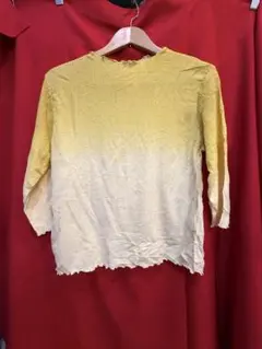 ☆ イエロー グラデーション セカンドスキン カットソー