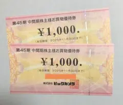 【翌日発送】ビックカメラ 株主優待券 ¥2,000