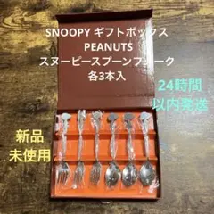 SNOOPY ギフトボックス PEANUTS スヌーピースプーンフォーク各3本入のサムネイル