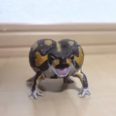 Item thumbnail for item dcf1a1dd-3d5b-42cd-888a-66b3901edaaf