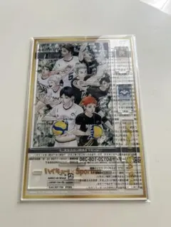 Sportiva バレーボール 特集号 Vol.3 ハイキュー 付録