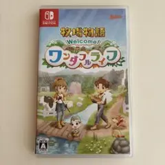 Welcome! ワンダフルライフ Nintendo Switch