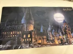 ハリーポッターTCG プレミアム決闘 ホグワーツ魔法魔術学校プレイ