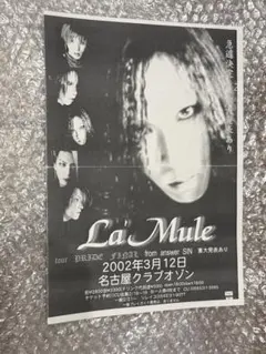 Lamiel ラミエル ビジュアル系 フライヤー 開眼 朱 - メルカリ