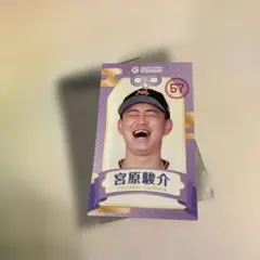 ジャイアンツ 宮原駿介 えみくじ