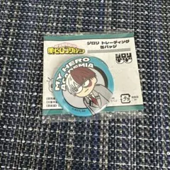 僕のヒーローアカデミア ヒロアカ ジロリ 缶バッジ 轟焦凍