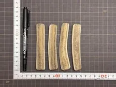 2026-382 鹿の角4本☆鹿の角☆シカの角☆蝦夷鹿☆本州鹿☆犬のおもちゃのサムネイル