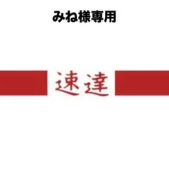 みね様専用 速達料