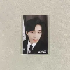 seventeen we make you 会場限定 ウォヌ