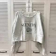 【JEANASIS】クロップドスウェット グレー　Fサイズ