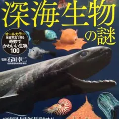 オールカラー深海生物の謎 ★ほぼ新品に近い状態です。