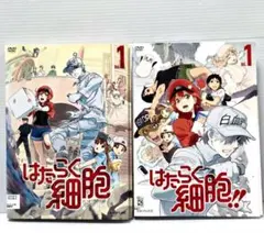 はたらく細胞 1期+特別版+2期 DVD 全12巻セット - メルカリ