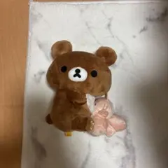 チャイロイコグマ