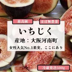 新潟県産✴︎朝採り✴︎黒いちじく約1kg - メルカリ