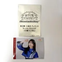 佐々木琴子 ネコパーティー緑ver.ぬいぐるみセット（全1種） 2026年最新】佐々木琴子の人気アイテム - メルカリ