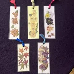 こりん※プロフ必須様 リクエスト 2点 まとめ商品