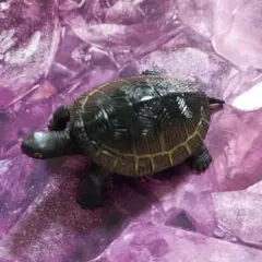 亀フィギュア