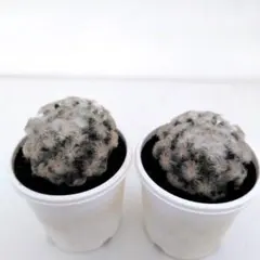 happy様 オークションとお取り置き分リクエスト 2点 まとめ商品