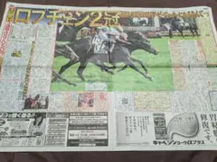 ロブチェン　スポーツ新聞　4紙セット　2026年6月1日（月）のサムネイル