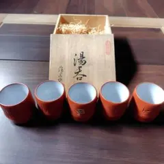 常滑焼 朱 香山造茶器セット 湯冷まし 湯呑み 5客 木箱付き 茶道具