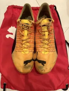 PUMA エヴォスピードスプリントニトロエリート2
