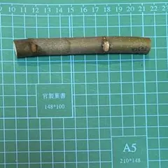 【aiai様専用】CREAM DE PESCA 他　穂木　(25F3)