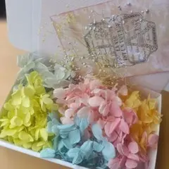 訳ありあじさいアソート在庫整理品Z