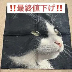ハチワレ猫　クッション　カバー ネコ　黒　インテリア　かわいい　ソファ