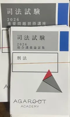 2025年最新】アガルート 重要問題 刑法の人気アイテム - メルカリ