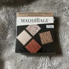 マキアージュ　カスタマイズアイカラー　アソート　01 スパイシーアソート