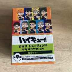 ハイキュープラザ　ジロリ　アクリルブロック　烏野ver.
