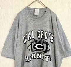 【45】フルーツオブザルーム オーバーサイズ 2XL Tシャツ プリント