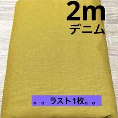 【特価】最終出品お値下げ★VANCETラスト1枚★リバーシブルデニム★マスタード