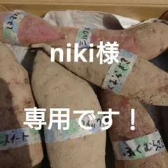 niki様専用です！　無農薬　さつま芋セット　宅急便コンパクトサイズ
