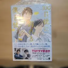 100日後に別れる僕と彼