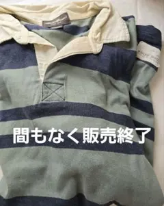 (10/20まで)Eddie Bauer ポロシャツ Lサイズ