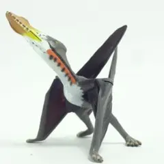 2025年最新】シャモティラヌスの人気アイテム - メルカリ