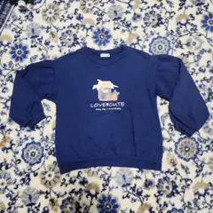 branshes トレーナー