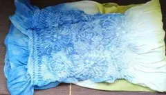 Item thumbnail for item 5382012c-2e1f-4263-9916-a6eee218a54a